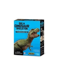 4M Tyrannosaurus Rex Skeleton