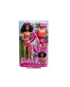 Barbie Doll And Accessories