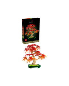 Botanicals Japanese Red Maple Bonsai Tree 10348
